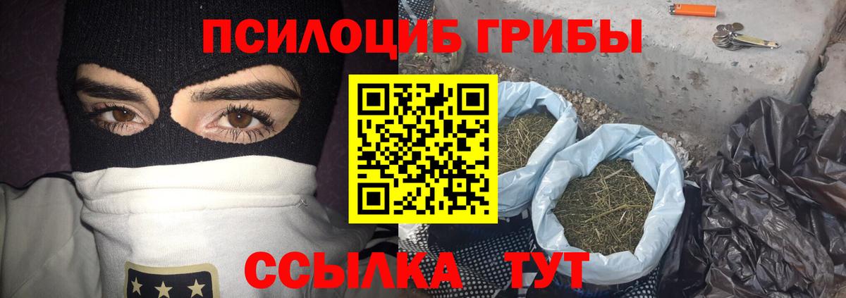Псилоцибиновые грибы мицелий Барабинск