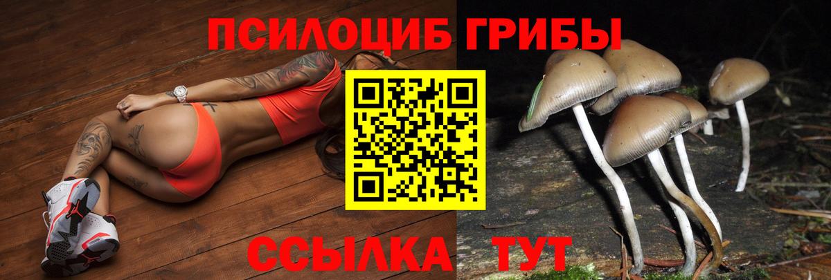Галлюциногенные грибы Magic Shrooms  Вход с VPN  Барабинск 